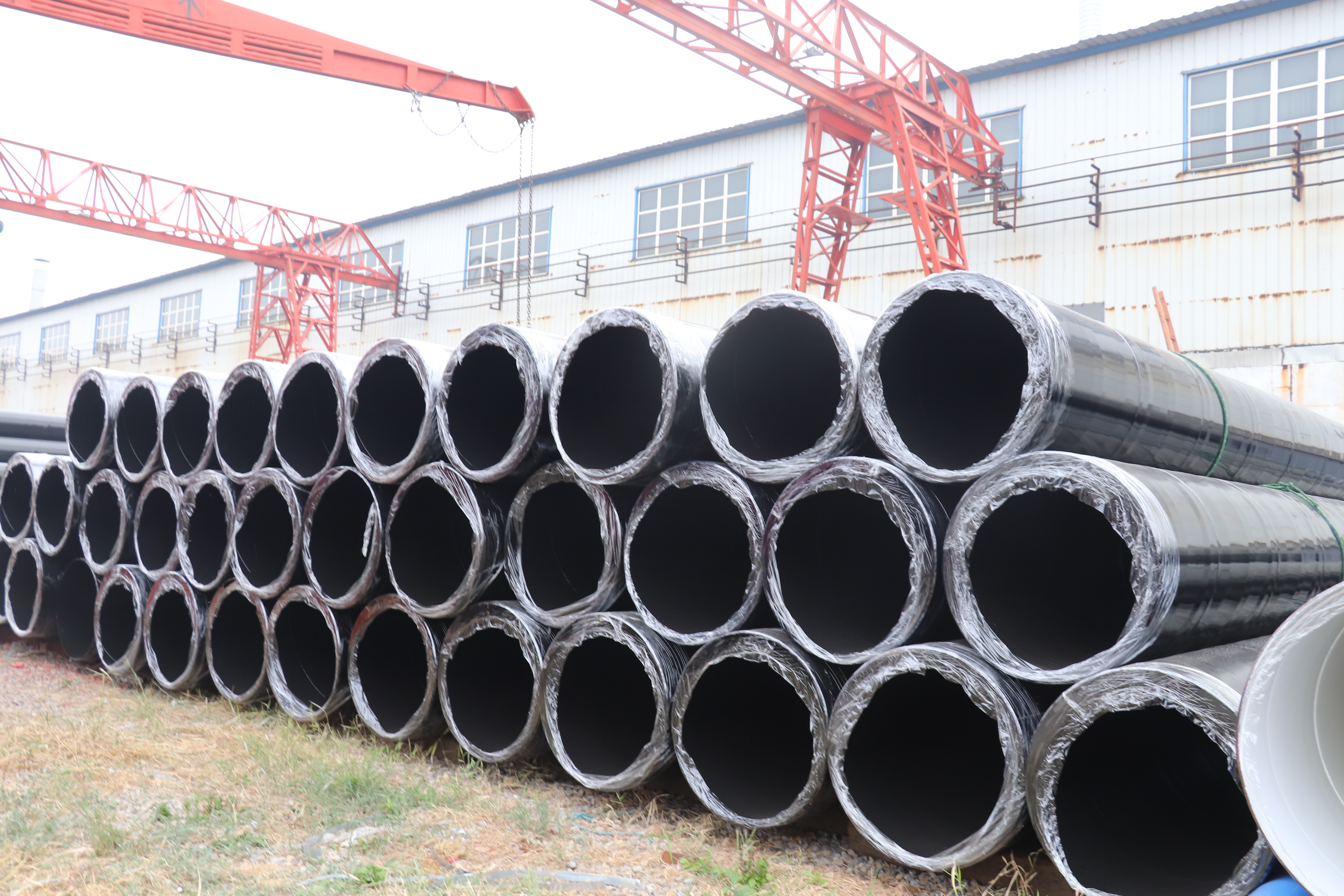 ����ϩ��ĩͿ��䓹�